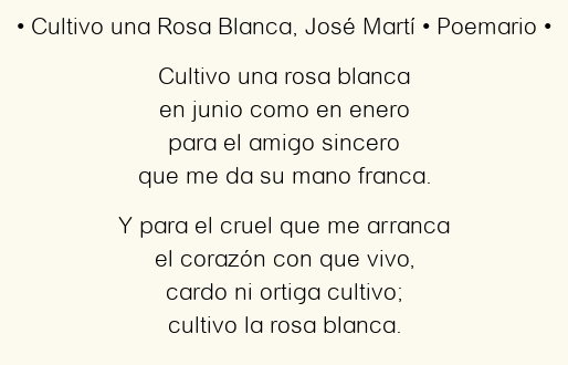 Cuantas estrofas tiene el poema ‘Cultivo una rosa blanca’: una mirada a la estructura poética