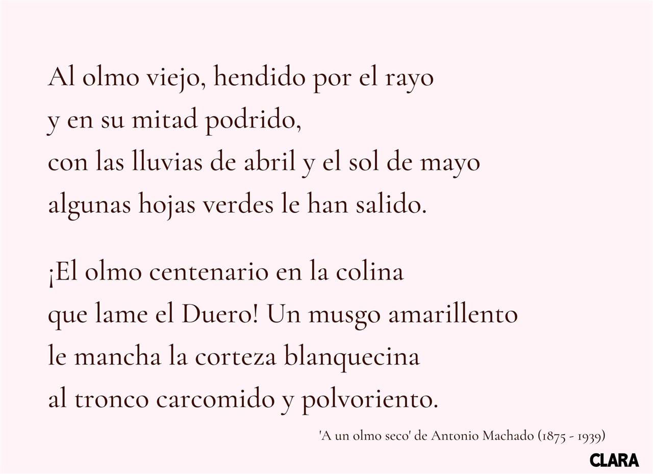 La magia de los poemas cortos de García Lorca: una ventana a la pasión y el dolor