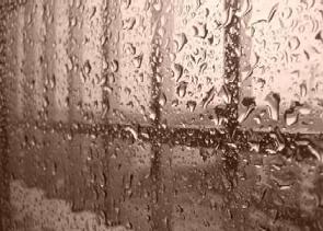 La melancolía de la lluvia tras los cristales: un poético encuentro con la naturaleza