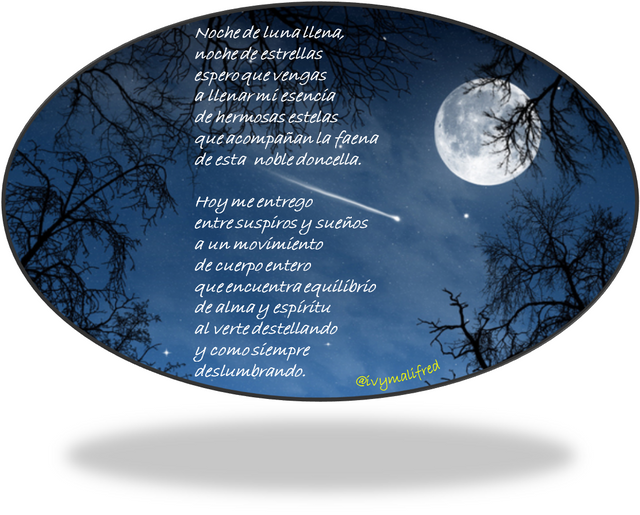 Bajo el manto lunar: Poemas que rinden tributo a la belleza de la Luna