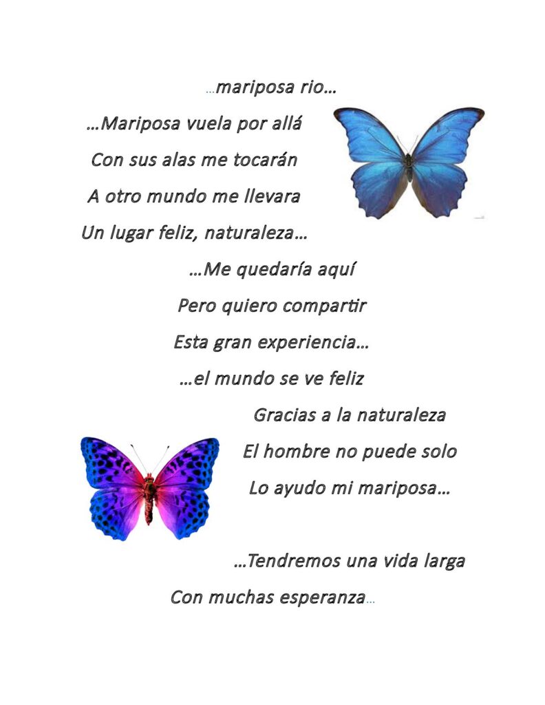 Versos al vuelo: Poemas de mariposas en dos estrofas - Poemas Blog