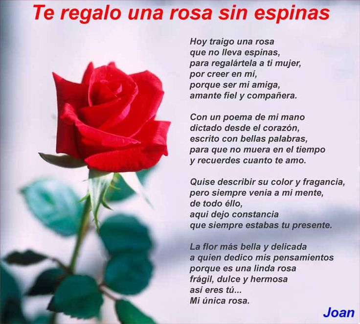Versos florales: Poemas de rosas cortos con rima que enamoran